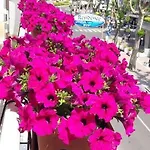 Aparthotel Onda Blu Cervia