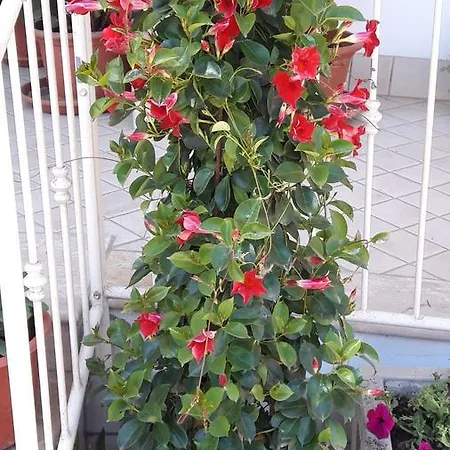 Onda Blu 아파트호텔