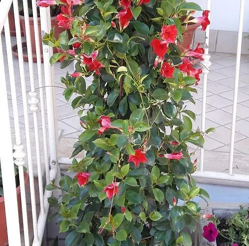 Onda Blu Apart-hotel